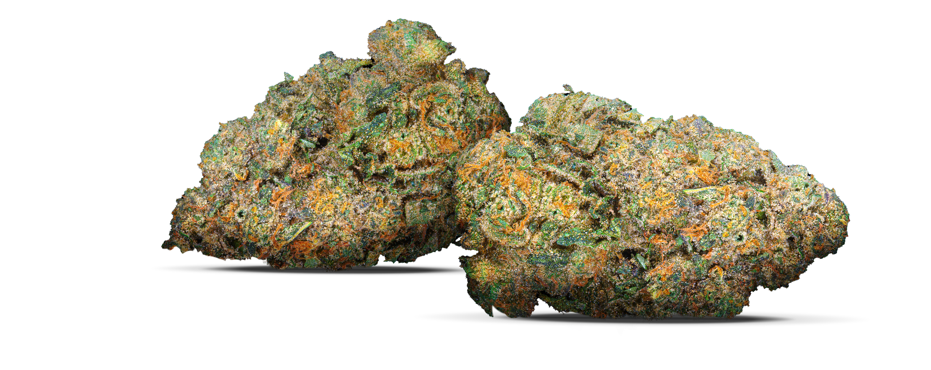 Sherb Cream Pie - REAL.png697